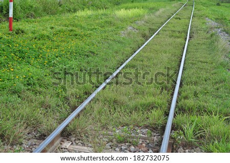 Railway tracks with grass covered up, but still can be used normally.