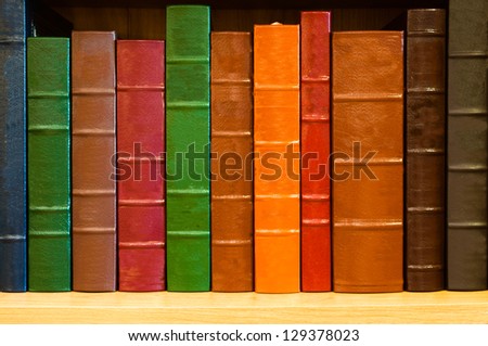 Shelf of books with colorful leather spines