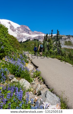 Hiking in the Mountains. Vertical image of hiking path flanked by wildflowers and topped with snowy mountain peak