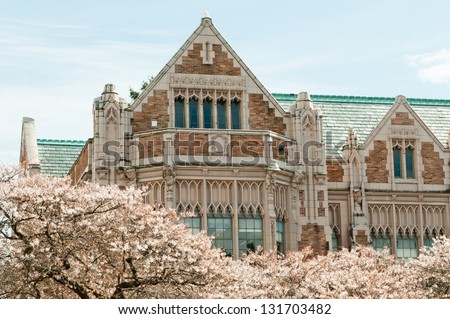 University Building and Cherry Trees.  Close up of the collegiate gothic style Smith Hall building with Yoshino cherry trees (Prunus x yedoensis), Liberal Arts quad, University of Washington, Seattle