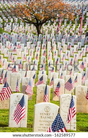 SEATTLE - NOV 11: Headstones with American Flags, Veterans Memorial Cemetery at Evergreen Washelli Memorial Park, the \