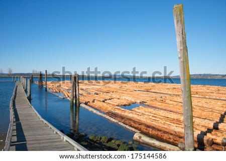 Log Boom floating in water tied up alongside pier. Timber Industry. Copy space.