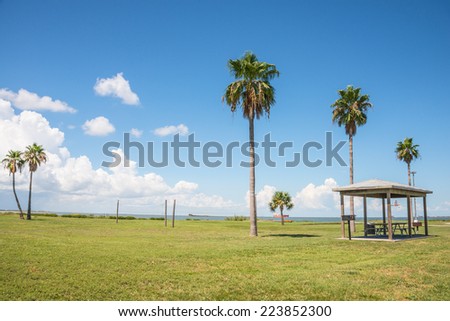 Park on Beach with palm trees, volleyball nets, basketball hoop, and picnic area.