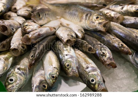 Heap of small fish at fish market