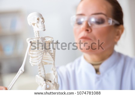 Woman doctor studying human skeleton