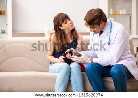 Vet doctor visiting sick kittens at home