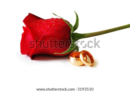 stock photo Two golden wedding rings and a red rose