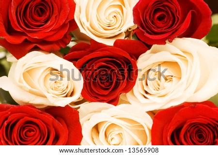 red and white roses background. images Red and white roses