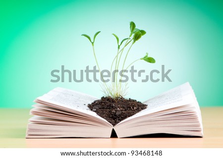 Seedlings growing from book in knowledge concept