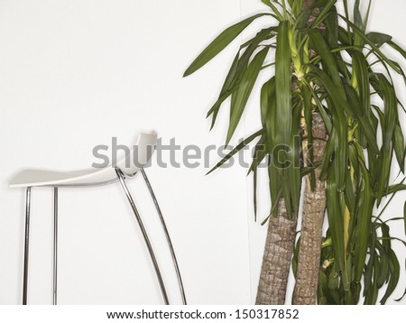 minimal interior design with chair and plant
