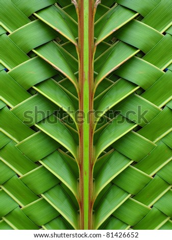 The weave pattern with coconut leaves and Asia.
