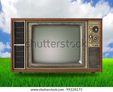 Old TV In a peaceful meadow