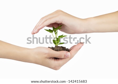 Hand and plant isolated on white background