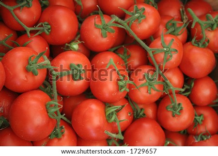 Roman Tomatoes