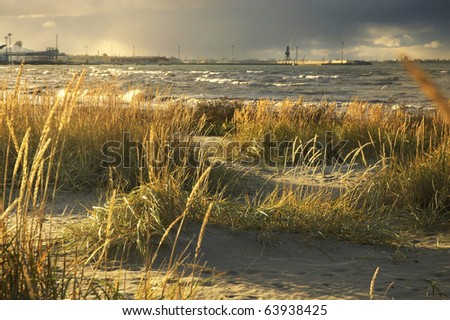 Storm at the Baltic Sea shore - Estonia, Tallinn