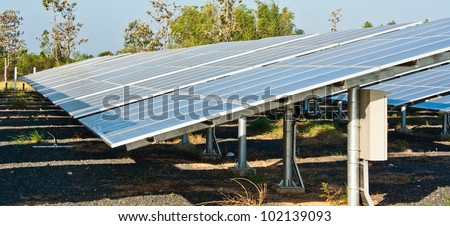 Solar cells generating electricity in the rural