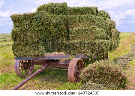 Hay Wagon:  An old wooden cart with heavy iron wheels gathers bales of fresh green hay on a farm in southern Pennsylvania.