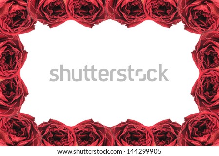 beautiful dry red rose frame on white, isolated