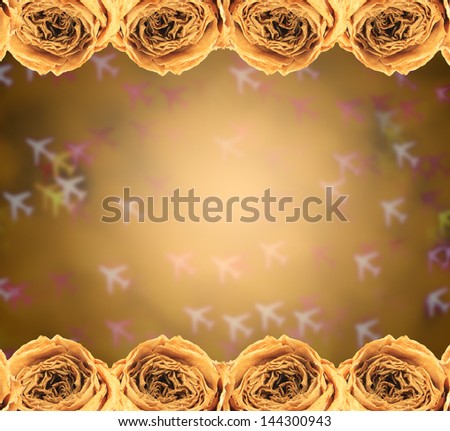 beautiful dry white rose frame on blur airplane bokeh background