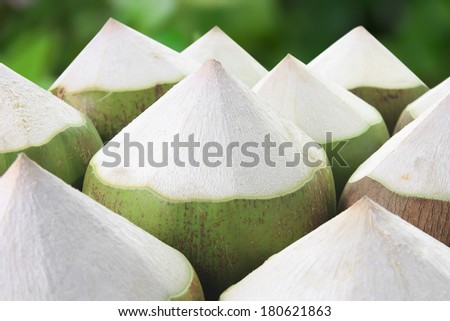 pile young coconut on garden background, refreshing