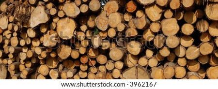 Logs pile