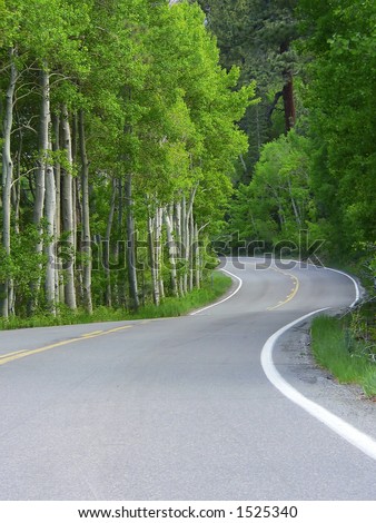 Curving Road