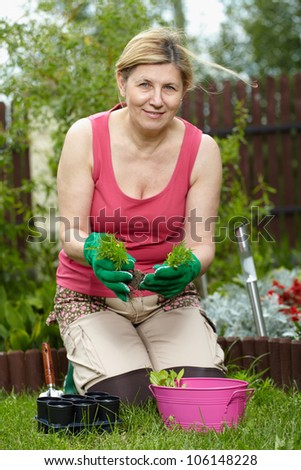 Mature woman works in her garden, splits some new plants