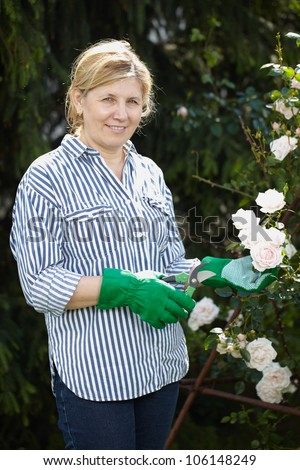 Mature woman look after her garden, holds shears in one hand and is about to cut a flower