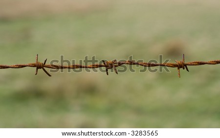 rusted barb wire, barbed wire, close up, blur