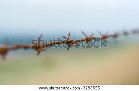 rusted barb wire, barbed wire, close up, blur
