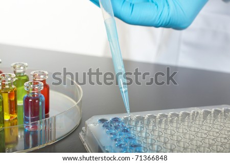 laboratory colorful test tubes, pipette with blue fluid over test tray, science, experiment