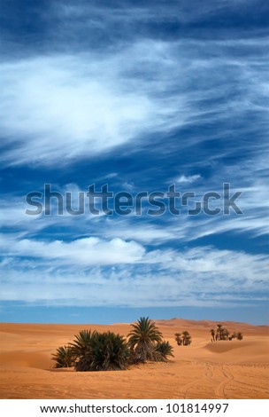 Sky and sand meet in sahara desert