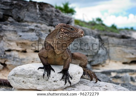 Cayo Iguana Cuba