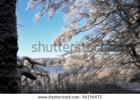 Wintry Landscape at Lake Liepnitzsee, Germany