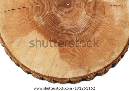 cut tree growth rings