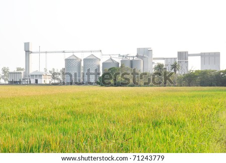 A grain co-op feed mill facility