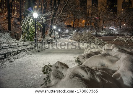 Central Central Park, New York City in winter after snow storm Park, New York City