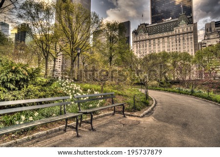 Central Park, New York City in spring at pond