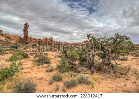 Arches National Park is a US National Park in eastern Utah in autumn
