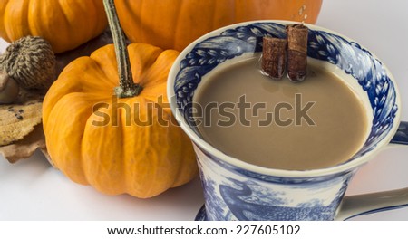 Pumpkin spice autumn drink with cinnamon