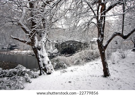 stock photo : Central Park - New York City after snow storm
