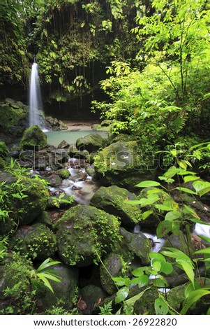 Dominica Rain