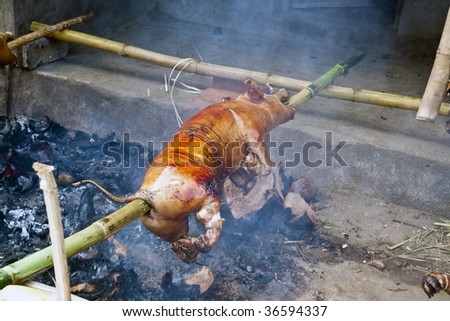 Village in Bali Indonesia preparing a roasted pig over spit