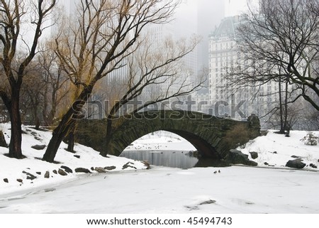 stock photo Central Park New York City during winter storm at the 