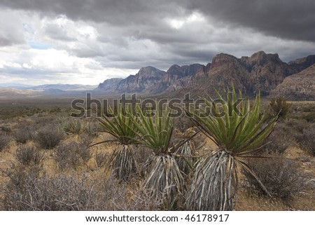 Desert scene near Las Legas Nevada