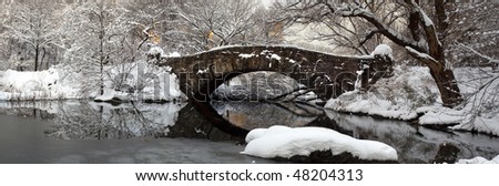Central Park - New York City after snow storm at the Gapstow bridge