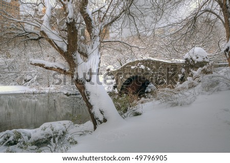 stock photo : Central Park - New York City after snow storm at the lake