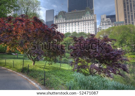 View in Central Park of 59th street and the Plaza hotel with Japanese maple trees in the foreground