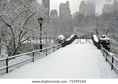 Central Park - New York City during a snow storm