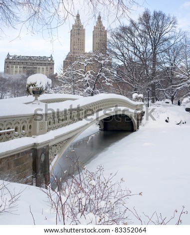 Central Park - New York City bow bridge